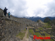 machu-picchu-15.jpg