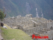 machu-picchu-26.jpg