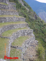 machu-picchu-52.jpg