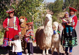 Photo de Péruvien(ne)s autour d'un lama